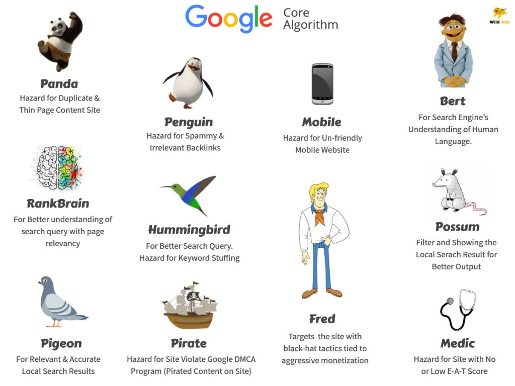 Types of Google Algorithm